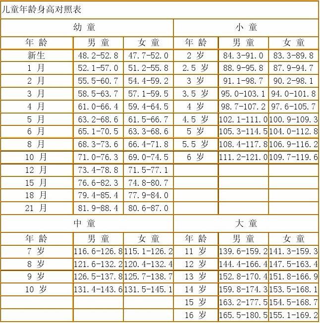 尺碼